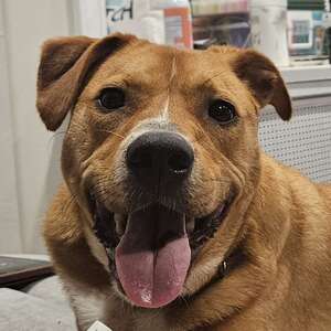 Team Page: Caramel Macchiato's Caffeinated Crew